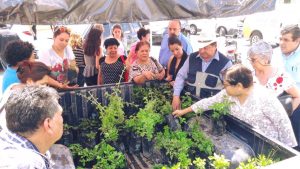 Entrega de arboles en Reciclatron